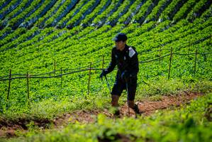 BIB: 
                            <button type="button" onclick="openModal(19162286)" class="btn btn-primary btn-sm float-right btn-popup" data-toggle="modal" data-target=".modal-high-quality">
                        <i class="fas fa-shopping-cart"></i> Add to Cart
                    </button>
                                            <button type="button" onclick="isThisMe(19162286, true)" class="btn btn-success btn-sm float-right btn-popup btn-isme hidden" data-toggle="tooltip" data-placement="bottom" title="นี่คือรูปของคุณใช่ไหม คลิกที่นี่เพื่อเอาเข้าอัลบั้ม">
                        <i class="fas fa-plus"></i> Add to album
                    </button>
                    <button type="button" onclick="isThisMe(19162286, false)" class="btn btn-warning btn-sm float-right btn-popup btn-isnotme hidden">
                        <i class="fas fa-ban"></i> Remove from album
                    </button>